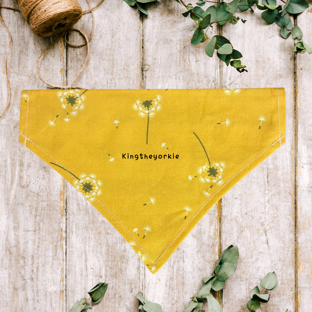 Sun Flower Pet Bandanna