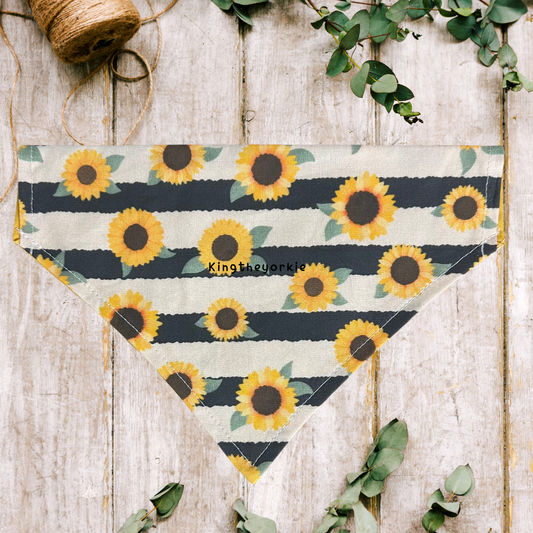 Sun Flower Pet Bandanna