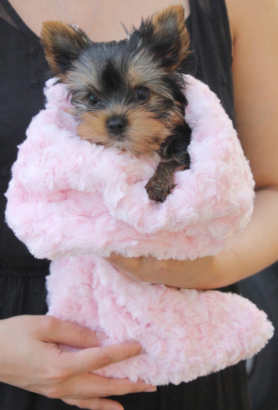 Snuggle Pup Sleeping Bags (puppy blanket)